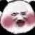 衰哥