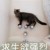 作者
