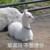 万能角色1