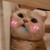 猫猫荔枝