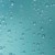 雨林