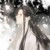 大师兄