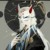 溯月（师尊）