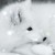 雪狐银瑞