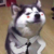 光