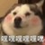 张哈哈