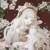 君子爱吃糖