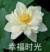 万能龙套