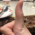 众人