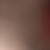 全部同学