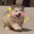 憨憨本憨