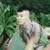 杨九郎