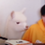 粥粥