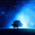 星雨