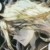 伊萊克斯