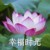 角色