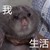 小助理