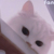 薄荷味的猫
