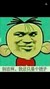 柳金华
