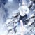 本文作者