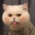 全体学生
