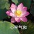 数学老师