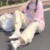 安希伊
