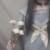 陈妈