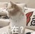 小新新