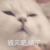 欢砸