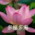 老班