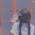 希梦