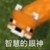 我是穿越神不是死神