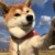 靓黄