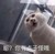 父亲