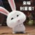 万能龙套