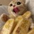 小黑