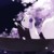 光樱（012）
