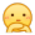 太阳丸子