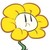 小花