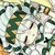 帕落斯