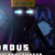 Vorous