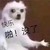 龙套