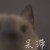 瑟琳