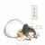 金陵