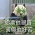 安链