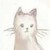 灵猫一一小雪