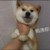 各科老师