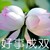 宋寒妈妈
