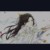 君吾